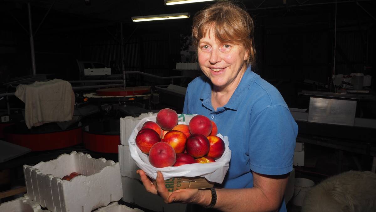 STONE FRUIT SEASON: Yarralee Orchard owner Bina Gordon with some of the fresh produce currently in stock. Photo: SAM BOLT