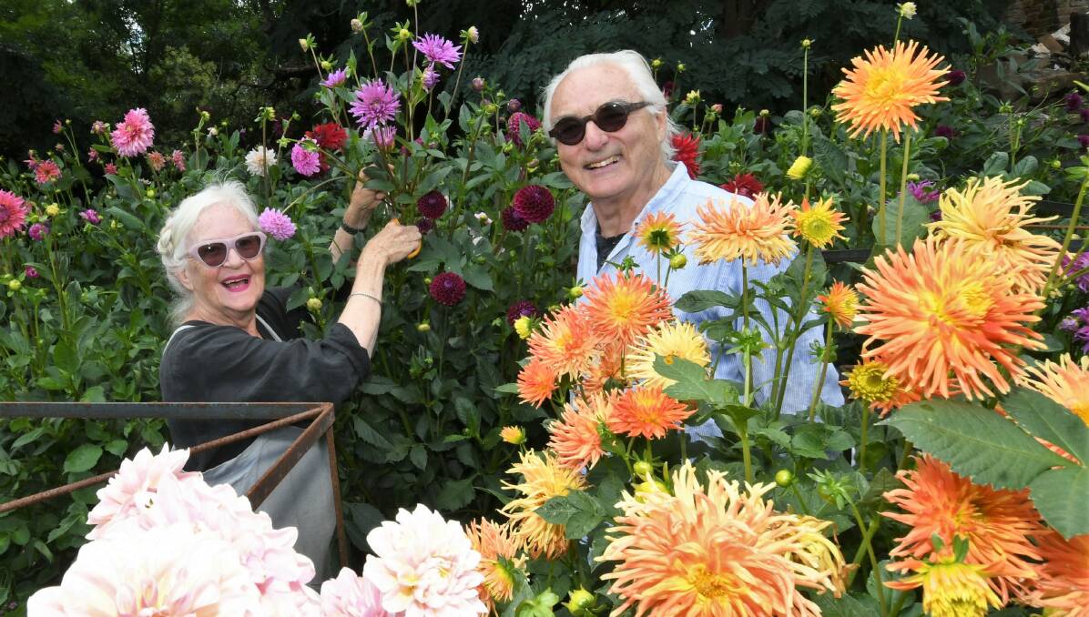 VISUAL DELIGHTS : Suzy and Robert Miller in their flower farm at 'Rainham'. Photo:CHRIS SEABROOK 020221cflowers