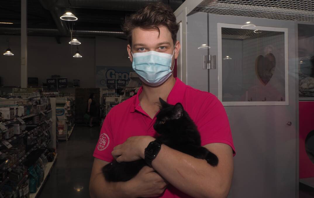 IN NEED OF A HOME: PETstock Bathurst assistant manager Alex McAnulty with 'Paul' the cat. Photo: SAM BOLT