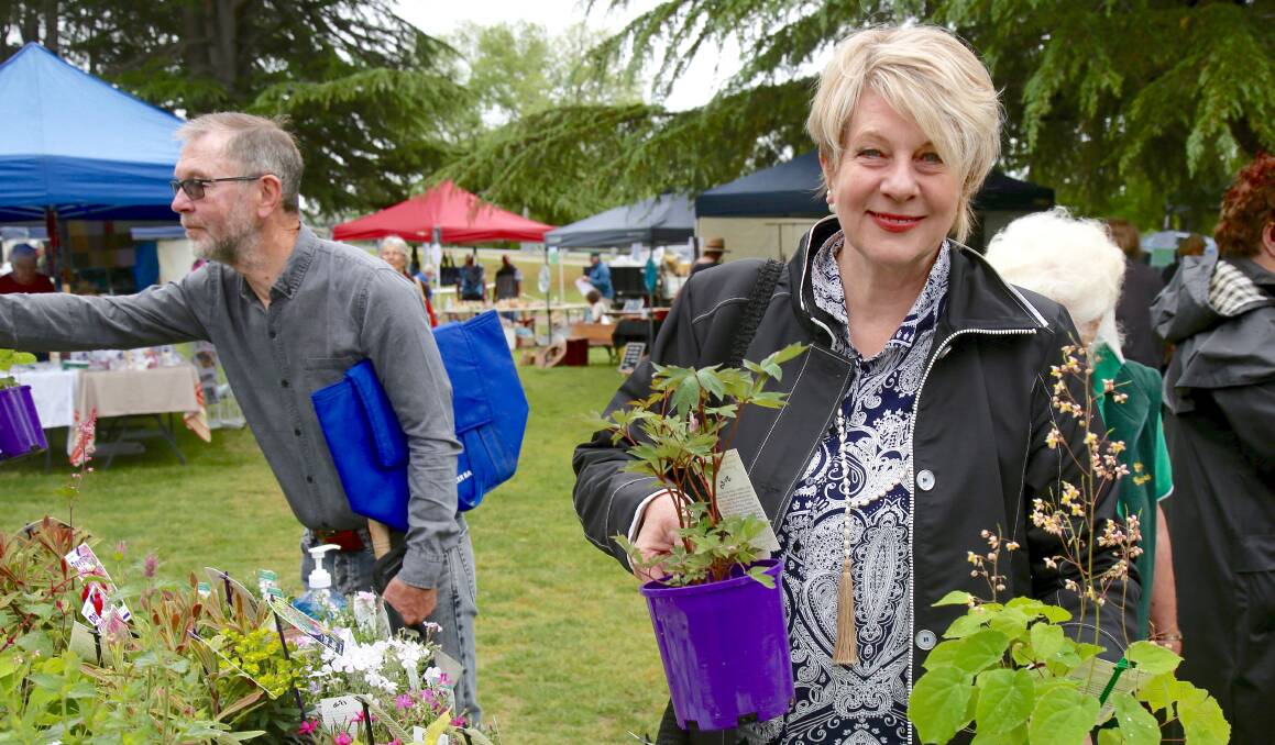 SUCCULENT: Bishop's Court Estate owner Christine Le Fervre getting yet more plants for her garden. Photo: PHIL BLATCH