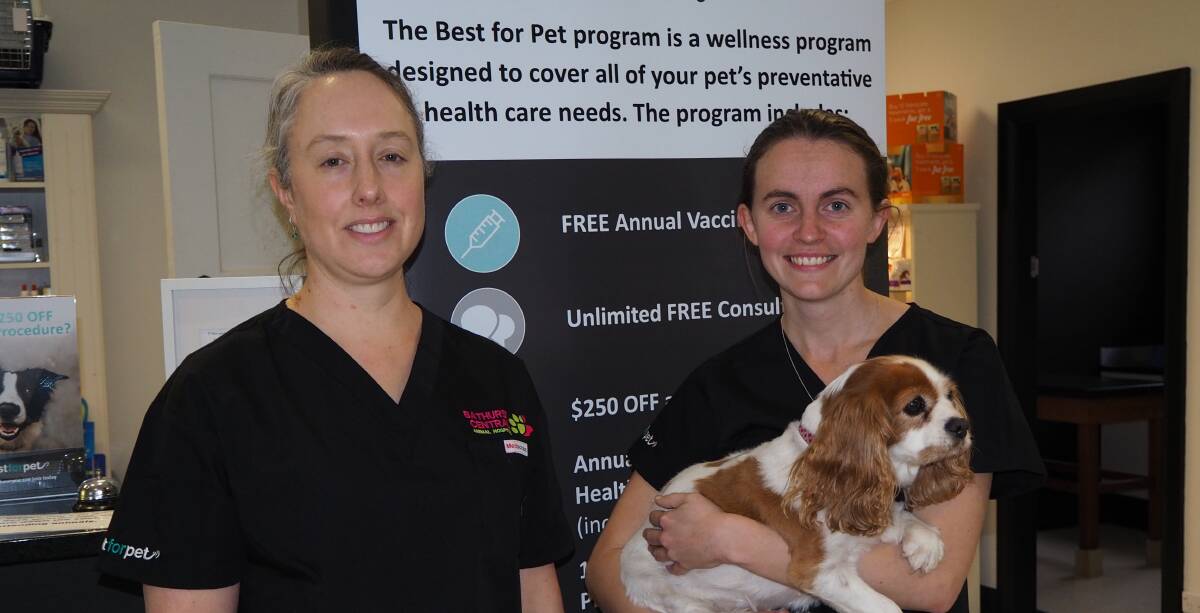Bathurst Central Animal Hospital unites two former veterinaries