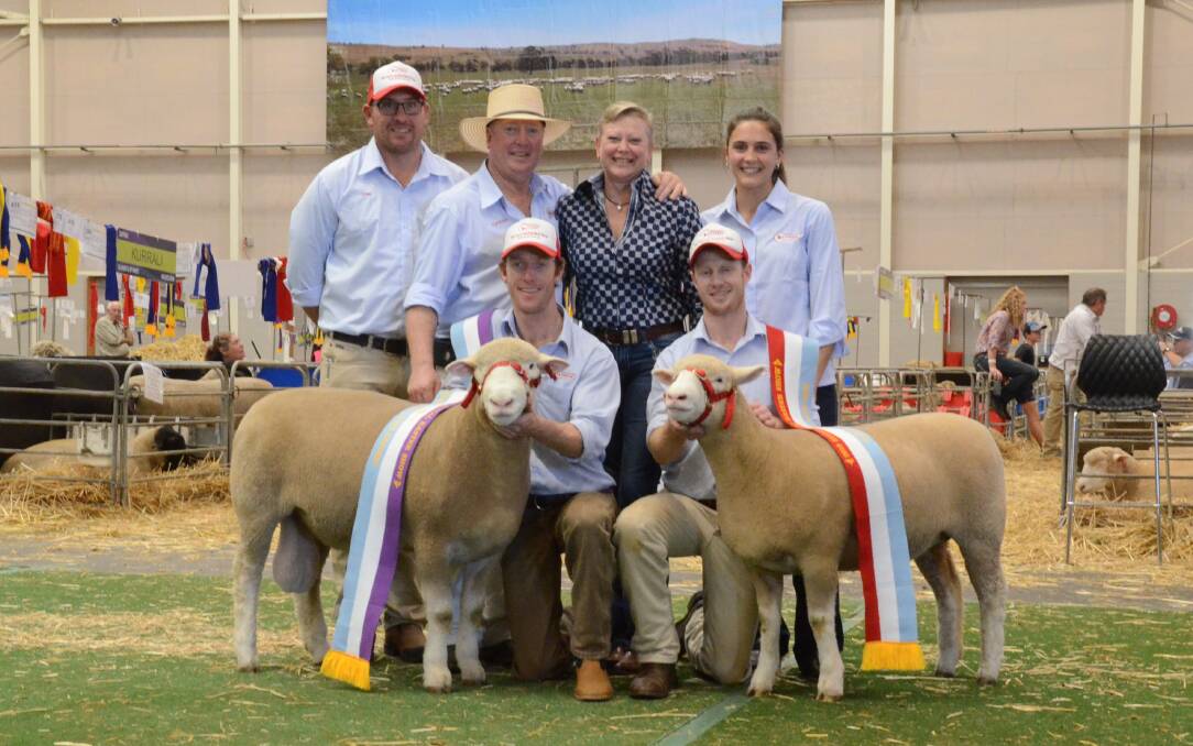 WINNERS: The Gilmore family of Tattykeel Meat Sheep and Cattle stud farm with their winning sheep at the Sydney Royal Easter Show.
