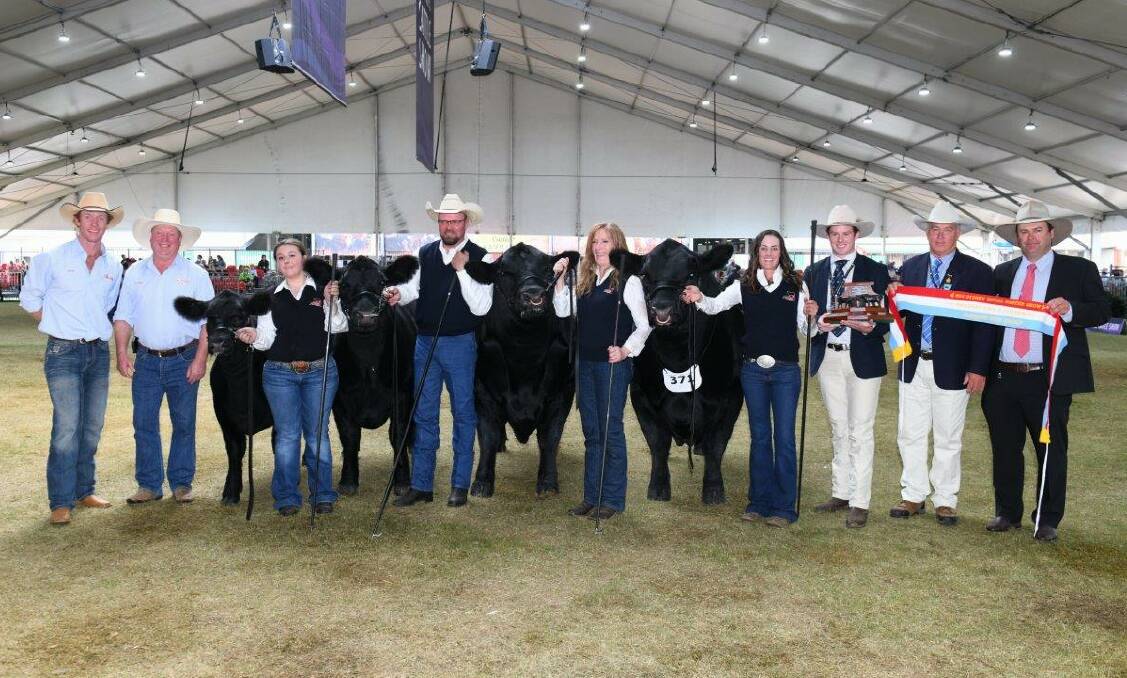 PRIZED CATTLE: The Gilmore family of Tattykeel Meat Sheep and Cattle stud farm with their winning Angus cattle at the Sydney Royal Easter Show. Photo: SUPPLIED
