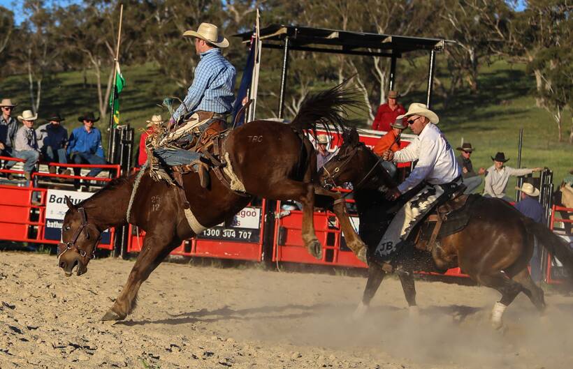 BUCKAROOS: The Rockley Rodeo will return in October 2021. Photo: SUPPLIED