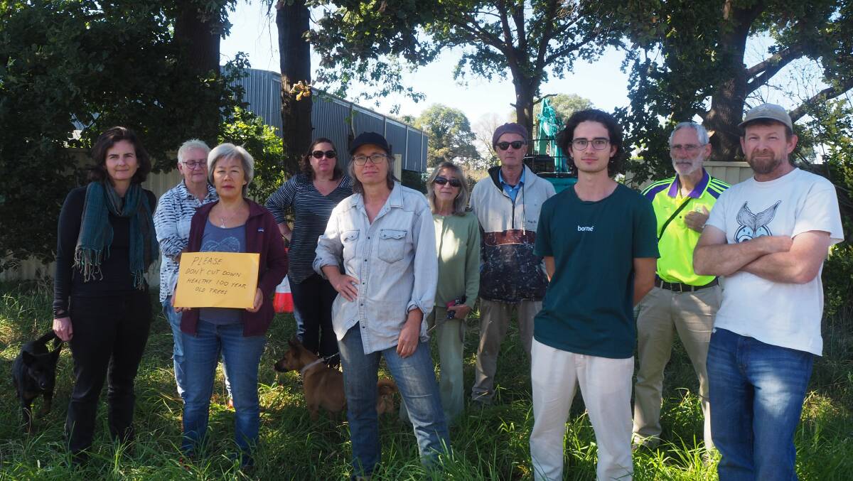 LEAVE THEM BE: South Bathurst residents protest against the removal of oak trees along Bant Street on Tuesday. Photo: SAM BOLT