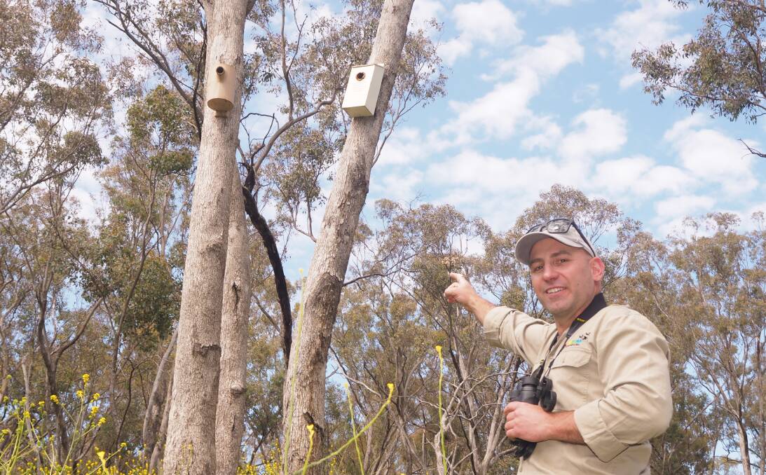 REVOLUTIONARY: Habitech Australia founding director Mick Callan pointing to a 3D-printed plastic hollow nest box [left] used as a prototype for the development of a safer, sustainable home for threatened wildlife. Photo: SAM BOLT