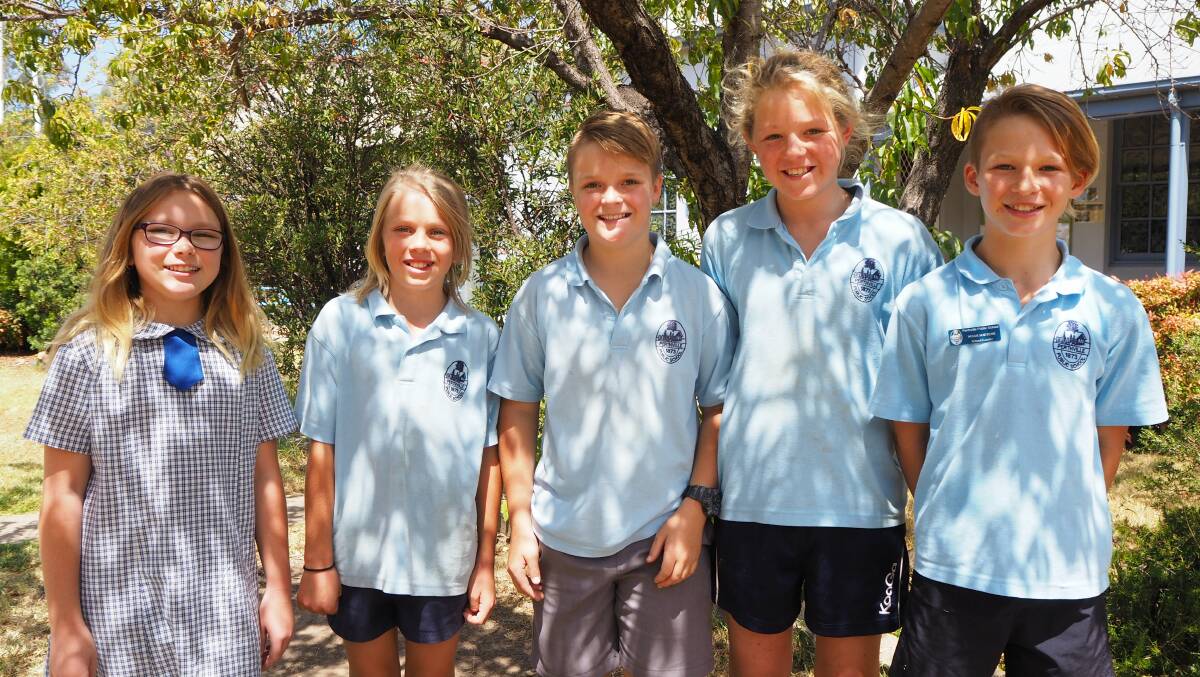 SELFLESS: Perthville Public School Year 6 students Ashleigh Peterson, Ryan Watson, William Moorhead, Dusty Wyrzykowski and Noah Soetens will be participating in this year's World's Greatest Shave. Photo: SAM BOLT