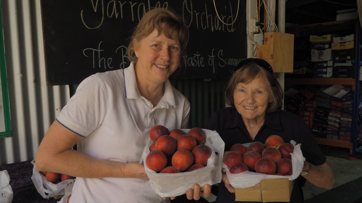 STONE FRUIT SEASON: Yarralee Orchard's Bina and Bev Gordon with some of their first peaches of the season. Photo: SAM BOLT