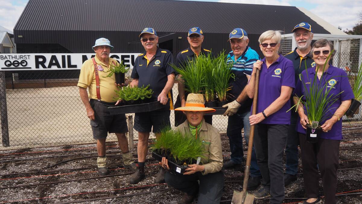 BENEFICIAL PLANTS: Ecological consultant Dhyan Blore [front] with members of the Mount Panorama Lions Club. Photo: SAM BOLT