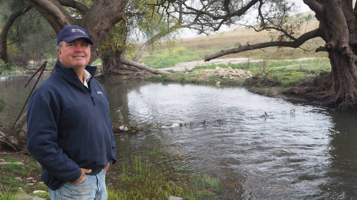 HEALTHIER LOOK: Winburndale Waters Conservation Group member Michael Inwood at the section of the Winbundale Rivulet on his property. Photo: SAM BOLT