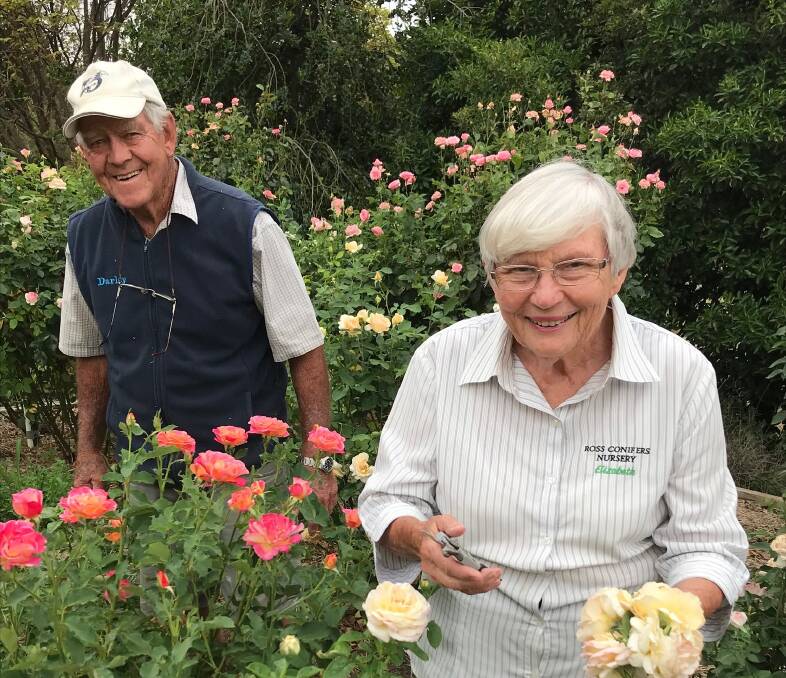 HONOURED HORTICULTURALISTS: Ross Conifers Garden Nursery co-owners Allan and Elizabeth Ross have delighted regional gardeners for decades. Photo: SUPPLIED