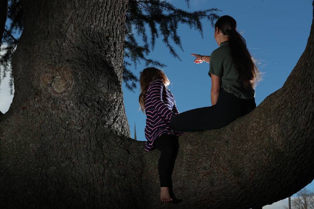 TAKING THE CLIMB: The Climbing Tree will feature among a stellar lineup of art and creativity at Artstate Bathurst