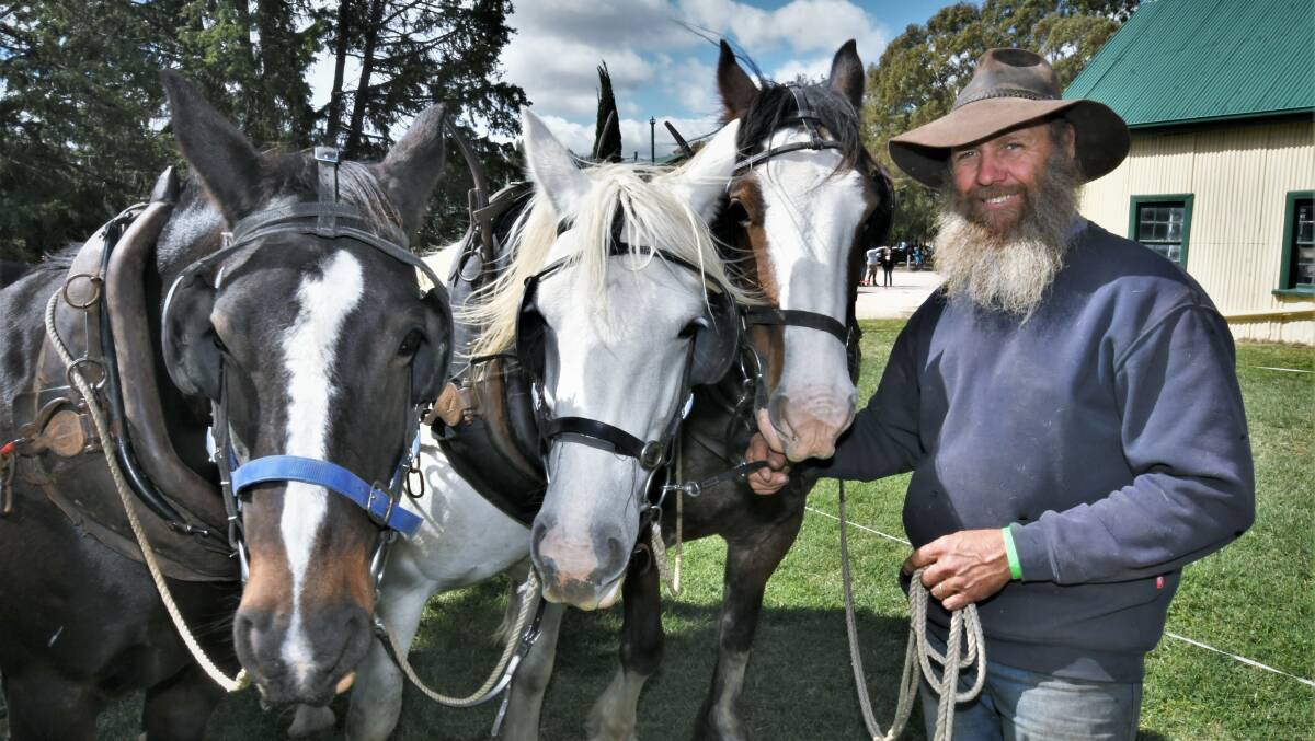 HORSEPOWER: Darren Gavin, from Caloola, with draught horses Raisin, Gracie and Barney at last year's Bathurst Heritage Trades Trail. Photo: CHRIS SEABROOK