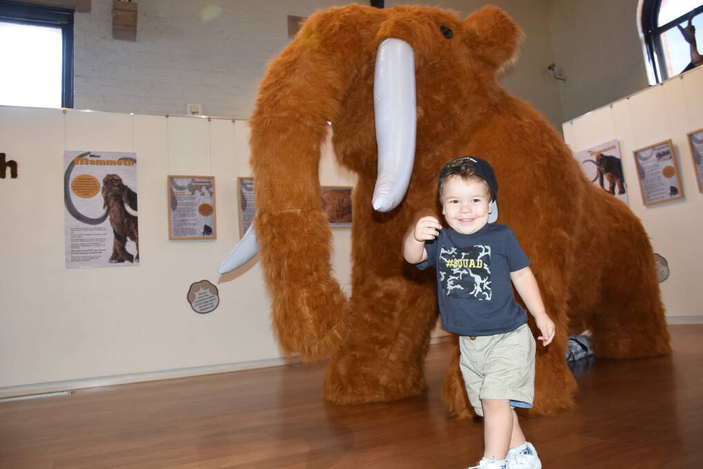 MARCHING SUCCESS: Landyn Howey, 2, was among the first visitors to see the Mini Mammoth exhibition at the Australian Fossil and Mineral Museum. Photo: NADINE MORTON 020818mammoth3