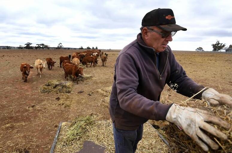 THE BIG DRY: Mixed farmer Wayne Dunford says rainfall in October and November, many farmers are back to the same state they were before. Photo: FILE
