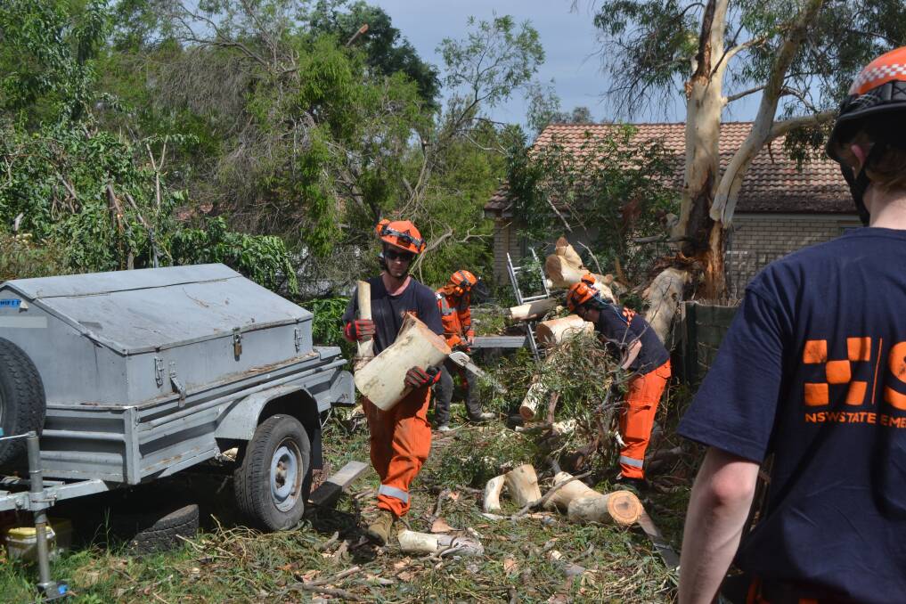 STORM DAMAGE: State Emergency Service (SES) volunteers cleaning up a large eucalypt tree that fell down in the back yard of a home on Simmons Place at Kelso in wild winds. Photo: NADINE MORTON 011918nmses2