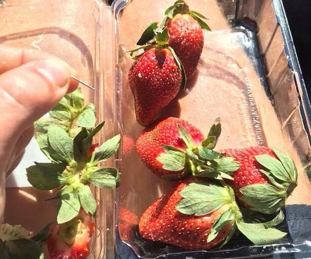 WARNING: Some of the strawberries that have been contaminated by a sewing needle. Photo: JOSHUA GANE