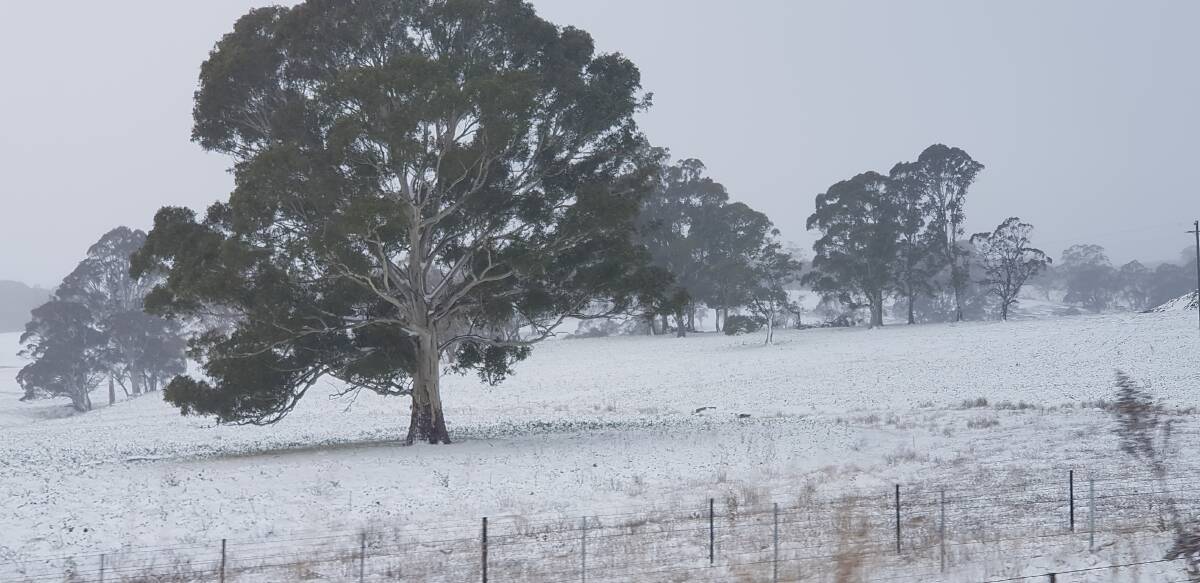 SNAPSHOT: This snow covered high country captured the attention of reader Arifa Batool Sunday. 062118snap