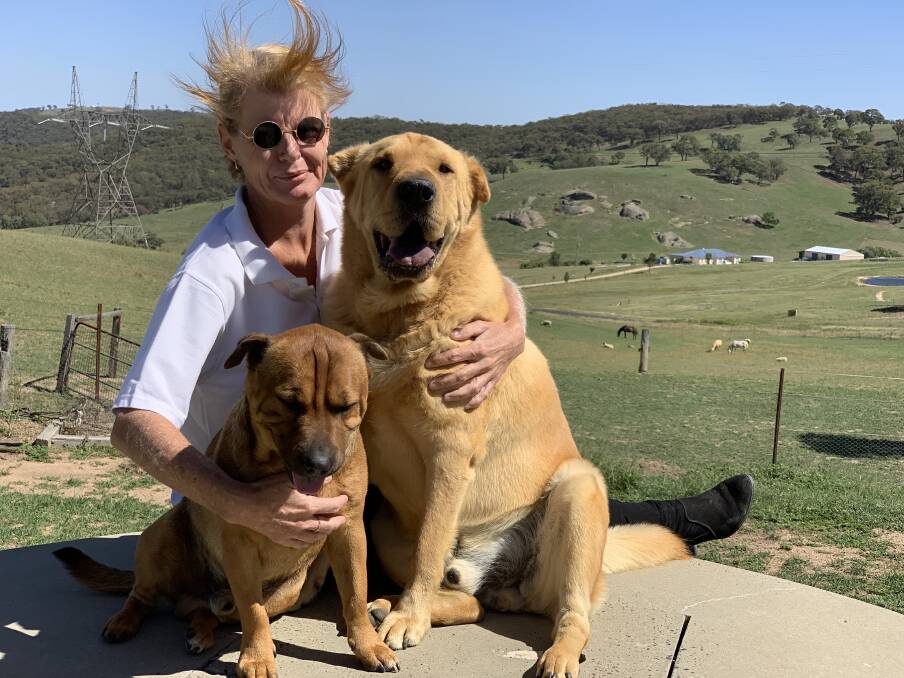 AERIAL POISON: Mount Rankin woman Christine Dean Smith, with her beloved dogs Razimus and Thorsby, said she feared an aerial poison drop would have widespread impacts on the environment. Photo: NADINE MORTON 021219nmbait1
