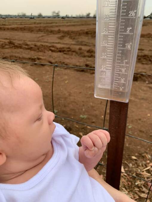 RAINY DAY: "It hasnt rained since the night he was born - 6.5mm overnight to add to our 1mm from yesterday. South of Parkes." Photo: HANNAH HAWKER
