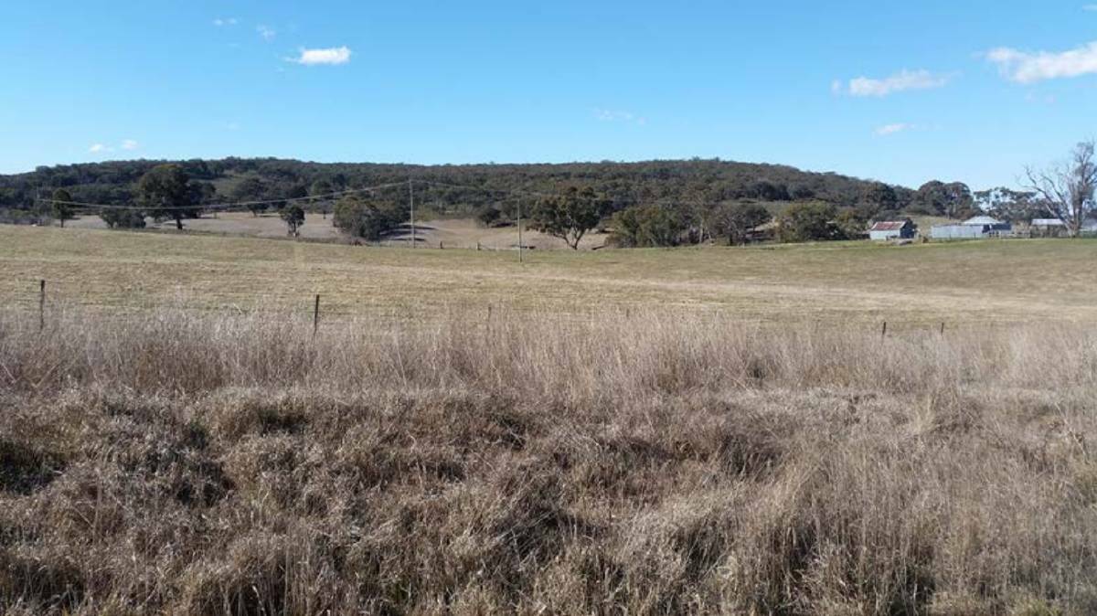 Heavily-wooded Black Mountain at the rear of the proposed 100 hectare site contains koala feed trees. Photo: STATEMENT OF ENVIRONMENTAL EFFECTS