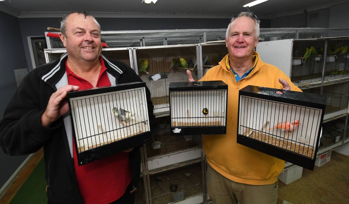 FLOCKING TOGETHER: Bathurst Bird Club president Tim Pickstone and Bill Sewell with some of the birds that will be in the show and sale. Photo: CHRIS SEABROOK 052118cbirds1