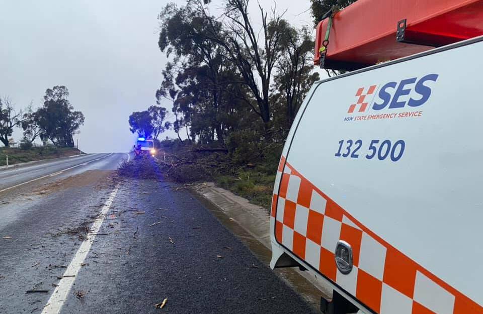 CALL OUT: State Emergency Service crews on scene at a tree down along the Mitchell Highway, between Bathurst and Orange, on Monday morning. Photo: BATHURST SES