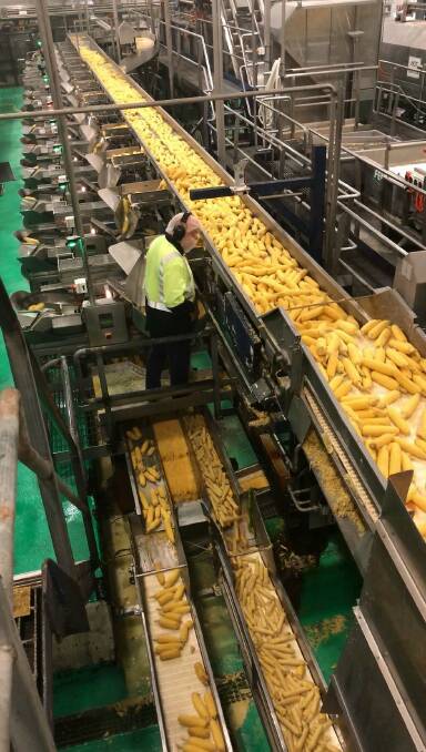 PRODUCTION LINE: More than 30 million cans of corn kernels are produced at Simplot's Bathurst site each year. Photo: SUPPLIED