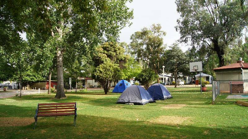 PLACES TO STAY: Young Caravan Tourist Park. Photo: Traveler photo submitted by Young S, via Trip Advisor