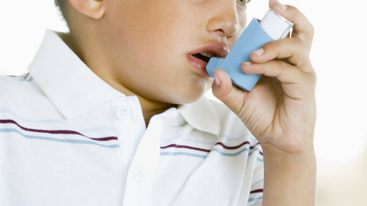 ASTHMA MANAGEMENT: Being prepared for seasonal allergens and asthma: Photo: FILE