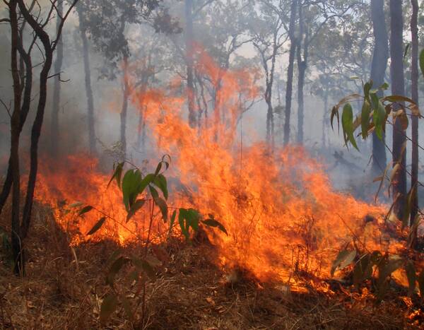 A hazard reduction burn will be conducted at Freemantle on Wednesday evening. Photo: FILE