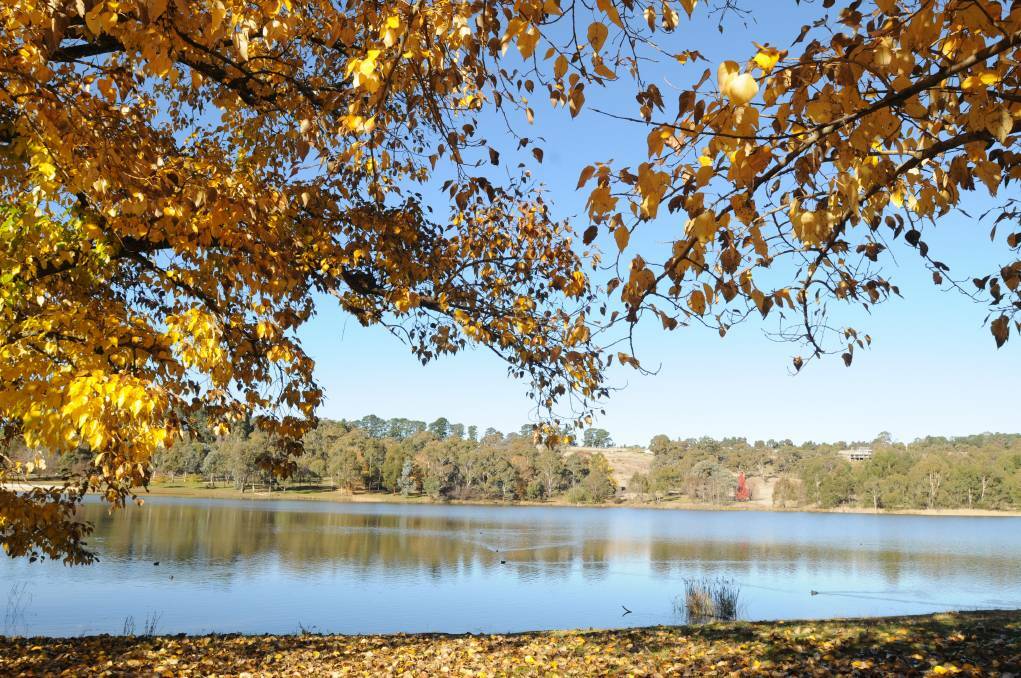 PLACES TO VISIT: Lake Canobolas can be found just a short drive from Orange. Photo: FILE