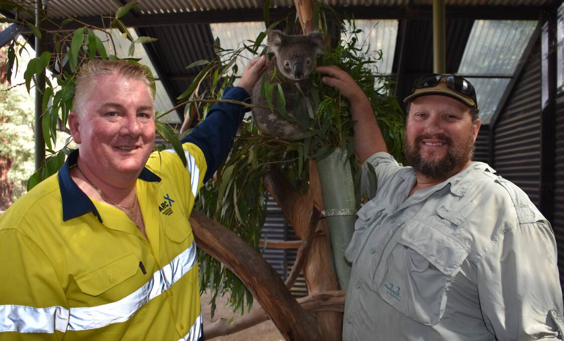 THANKS: Bathurst ARC Fencing branch manager Rob Lowe and Secret Creek owner Trevor Evans with Euccy the koala. Photo: ALANNA TOMAZIN