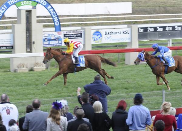 PRIME POSITION: Greg Ryan brings home Ideal Position to claim the 2012 Soldier’s Saddle at Tyers Park yesterday afternoon ahead of Bathurst hope Moment of Clarity. Photo: CHRIS SEABROOK 	042512cssaddle1