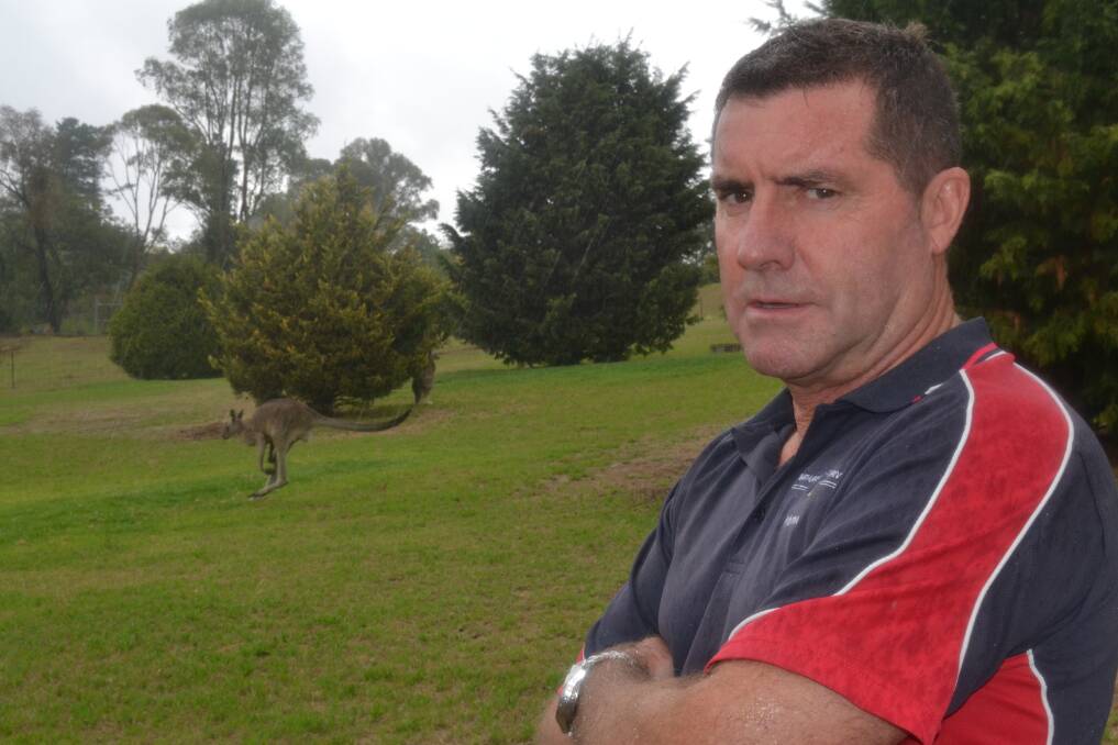 GET TOUGH: Bathurst councillor Warren Aubin in the backyard of a home in Monteve Crescent at Robin Hill yesterday which has been taken over by some of the local kangaroo population. Photo: BRIAN WOOD	 021914roo5