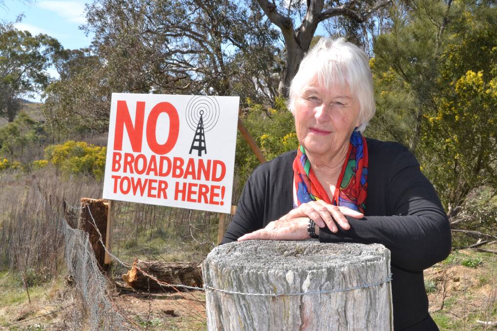 NOT GIVING UP: Long-time Rock Forest resident Dee Stuebe says she’ll fight to stop a proposed 40-metre broadband tower being erected on the property next door to her home. Photo: CHRIS SEABROOK 	091712ctowr1a