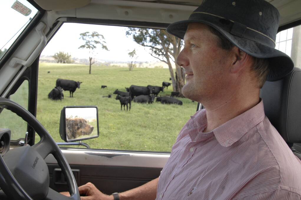RECORD BREAKER: Bathurst region cattle breeder Ross Thompson is still celebrating the success of his Millah Murrah angus stud at his on-property sale. 	050713angus