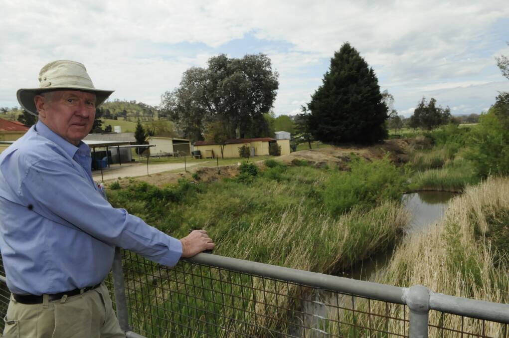 CHOKED UP: Perthville resident Ken Hamer looks out at the reed-choked Vale Creek, which he feels should be addressed before any talk of levees. Photo: PHILL MURRAY	 102612pken2